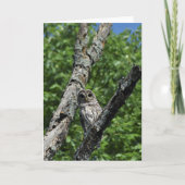 Sperrschale - 12x18 (innen leer) karte (Vorderseite)