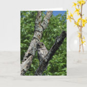 Sperrschale - 12x18 (innen leer) karte (Gelbe Blume)