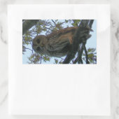 Sperrschale (Hoot Owl) Rechteckiger Aufkleber (Tasche)