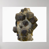 Spessartier in Matrix Poster (Vorne)