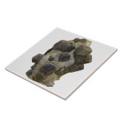 Spessartite in der Matrix Fliese (Seite)