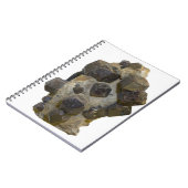 Spessartite in der Matrix Notizblock (Linke Seite)