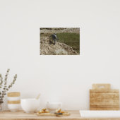 Spezialist steigt nach unten poster (Küche)