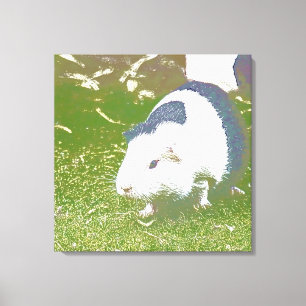 speziell für Sie - Guinea Schwein 721-1 Leinwanddruck