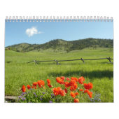 Spezielle Ferien-Plätze Kalender (Titelbild)