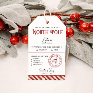 Spezielle Lieferung an den Nordpol bzw. Nizza Geschenkanhänger
