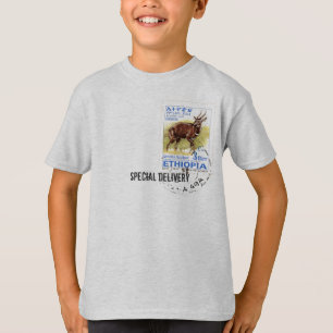 Spezielle Lieferung - äthiopische T-Shirt