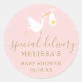 Spezielle Lieferung Stork Baby Girl Pink Dusche Runder Aufkleber (Vorderseite)