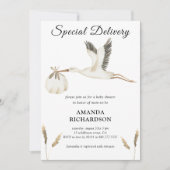Spezielle Lieferung Wasserfarben Stork Baby Dusche Einladung (Vorderseite)