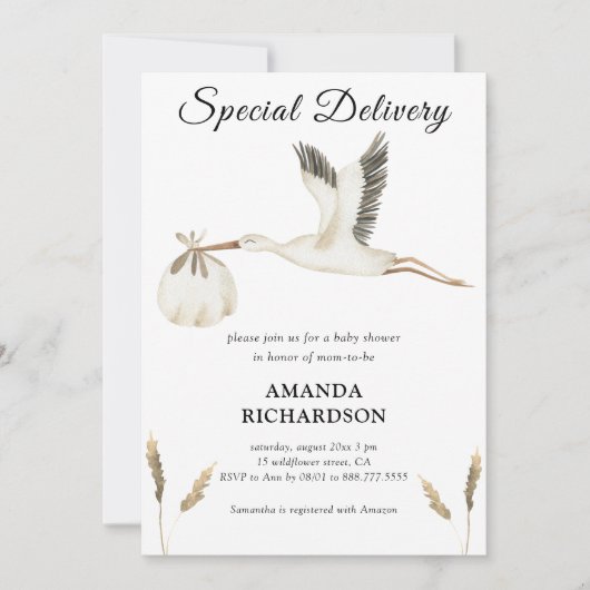 Spezielle Lieferung Wasserfarben Stork Baby Dusche Einladung (Vorderseite)