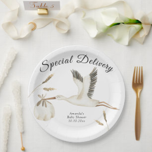 Spezielle Lieferung Wasserfarben Stork Baby Dusche Pappteller