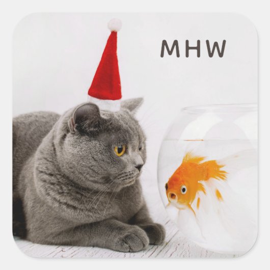 Spezielle Monogramm-Aufkleber für Funny Cat & Fish Quadratischer Aufkleber (Vorderseite)
