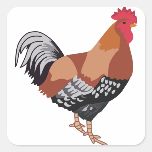 SPEZIELLE SUSSEX QUADRATISCHER AUFKLEBER (Vorderseite)