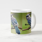 Spezielle Tasse mit schönen blauen Jay (Vorderseite Rechts)