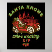 Spf Esthetician Holiday Christmas Skin Therast Der Poster (Vorne)