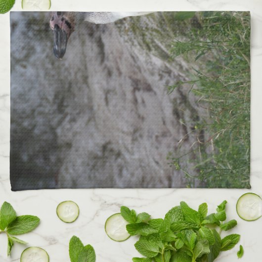 Spheniscus humboldti geschirrtuch (Gefaltet)