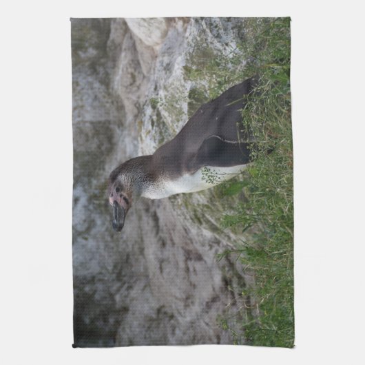 Spheniscus humboldti geschirrtuch (Vertikal)