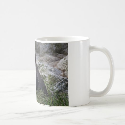 Spheniscus humboldti kaffeetasse (Rechts)