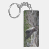 Spheniscus humboldti schlüsselanhänger (Vorderseite links)