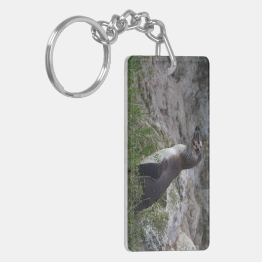 Spheniscus humboldti schlüsselanhänger (Vorderseite links)