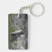 Spheniscus humboldti schlüsselanhänger (Rückseite)