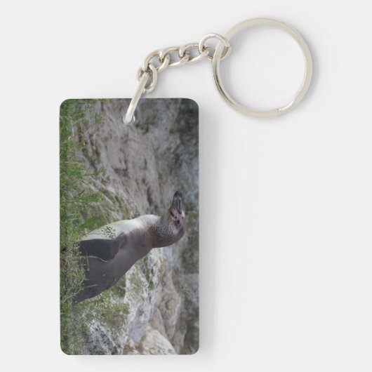 Spheniscus humboldti schlüsselanhänger (Rückseite)