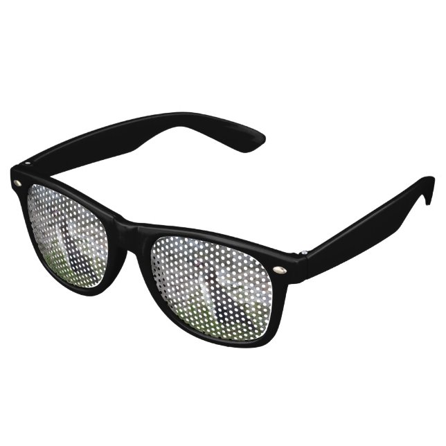 Spheniscus humboldti sonnenbrille (Schrägansicht)