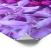 Sphere of Purple Poster (Ecke)