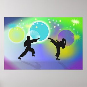 Spheres of Martial Arts Poster