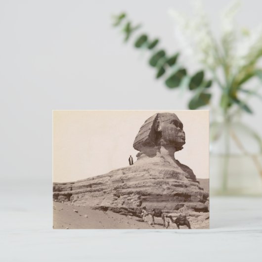 Sphinx Ägypten Postkarte (Stehend Vorderseite)