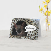 Sphinx Cat Birthday Spaß Karte (Gelbe Blume)