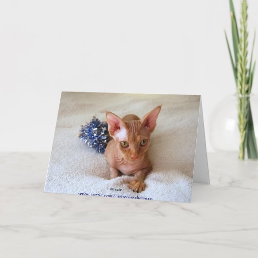 Sphinx Cat Chemotherapie ohne Haare Spaß Karte (Rückseite)