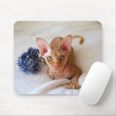 Sphinx Cat mit Blue Tinsel Mousepad (Mit Mouse)
