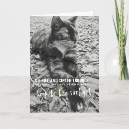 SPHINX Grußkarte Dankeskarte (Vorderseite)