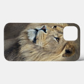 Sphinx iPad Case (Rückseite (Horizontal))