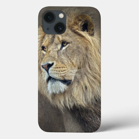 Sphinx iPad-Hülle Case-Mate iPhone Hülle (Rückseite)