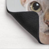 Sphinx Katze Haustier niedliches, haarloses Gesich Mousepad (Ecke)