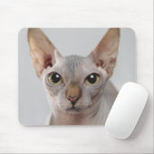 Sphinx Katze Haustier niedliches, haarloses Gesich Mousepad (Mit Mouse)