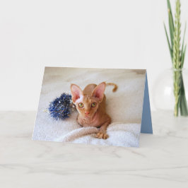 Sphinx-Katze mit blauer Tinsel-Karte Feiertagskarte