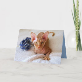 Sphinx-Katze mit blauer Tinsel-Karte Feiertagskarte