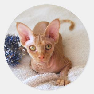 Sphinx-Katze mit Tinsel-Aufkleber Runder Aufkleber