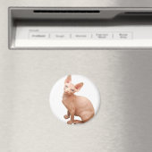 Sphinx Magnet (In Situ (Geschirrspüler))