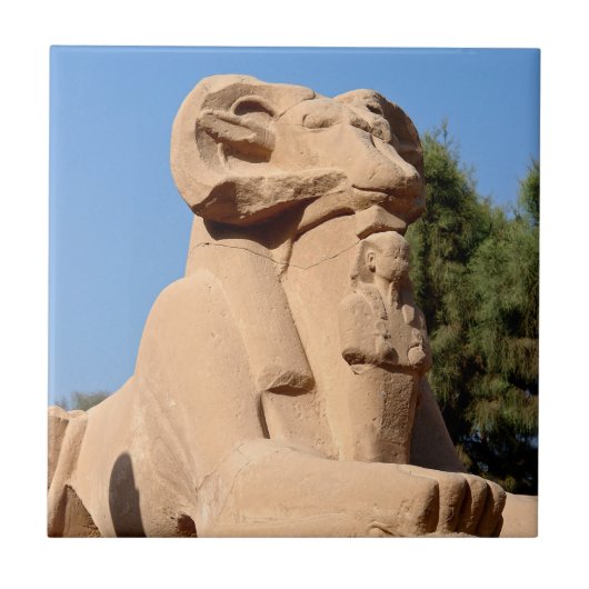 Sphinx mit Rammkopf im Tempel von Karnak - Ägypten Fliese (Vorderseite)