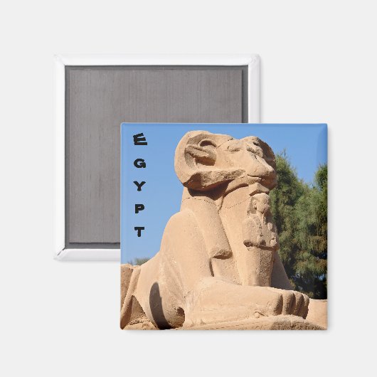 Sphinx mit Rammkopf im Tempel von Karnak - Ägypten Magnet (Vorderseite/Rückseite)
