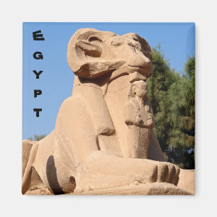 Sphinx mit Rammkopf im Tempel von Karnak - Ägypten Magnet