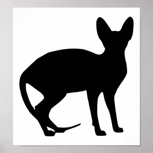 Sphinx Poster (Vorne)