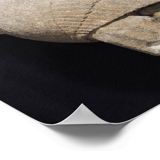 Sphinx Poster (Ecke)