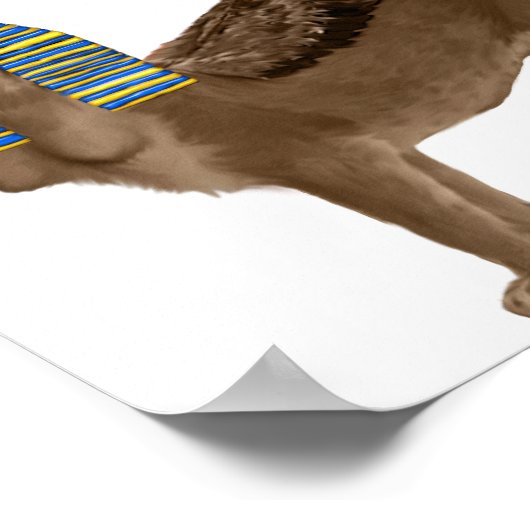 Sphinx Poster (Ecke)