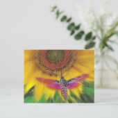 Sphinx Postkarte (Stehend Vorderseite)