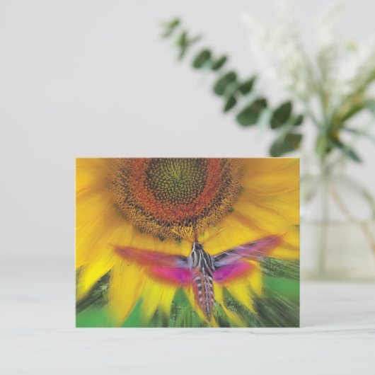 Sphinx Postkarte (Stehend Vorderseite)